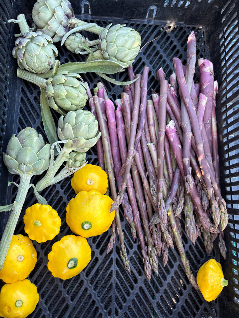 Seasonal Spring Delights and Recipe Ideas for your Veggie Box – Five ...